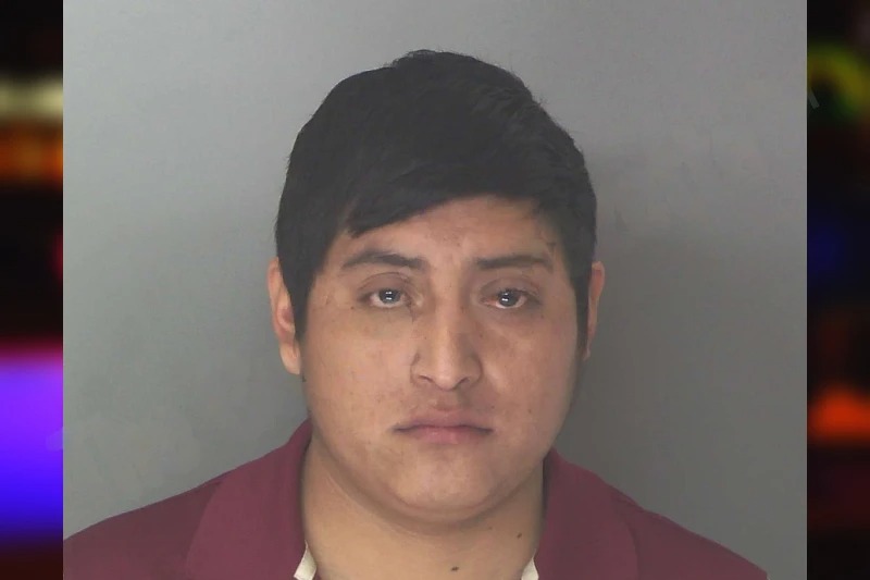 Delmar Garcia Gomez mugshot