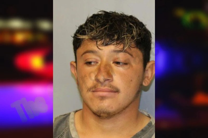 Delvis Turcios Garcia Mugshots