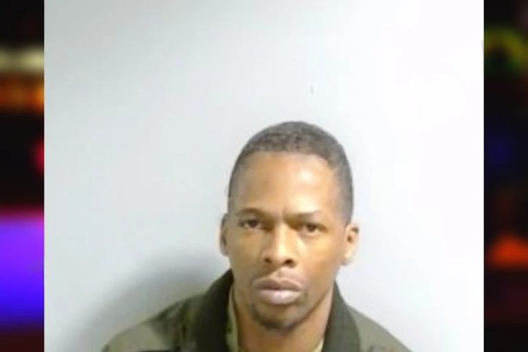 Demetrial Bivins mugshot – Fulton County , Georgia Demetrial Bivins