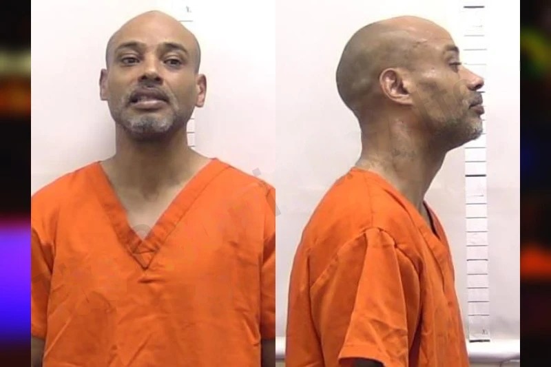 Demetrias Turner Mugshots