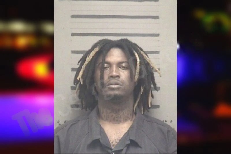 Demetrice Gardner mugshot – Dougherty County , Georgia Demetrice Gardner mugshot