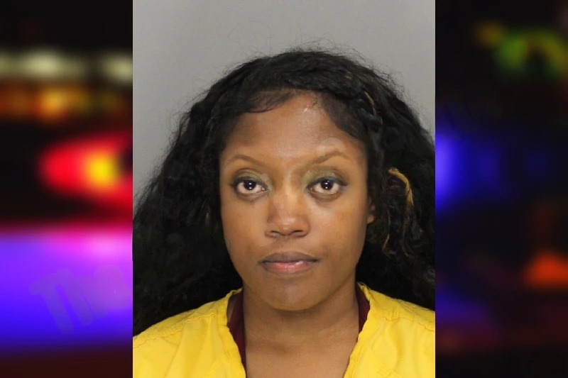 Denetria Willis Mugshots