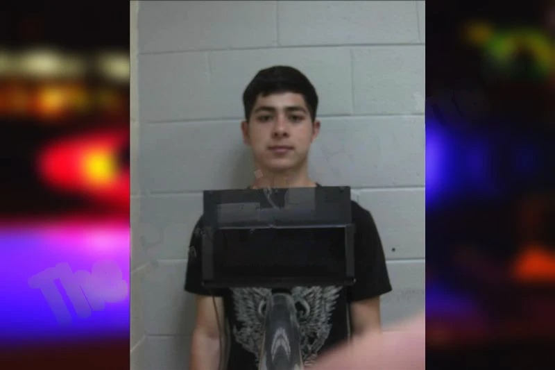 Denilson Castillo-De Leon Mugshots