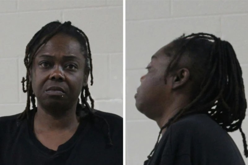 Denise Dean Mugshots