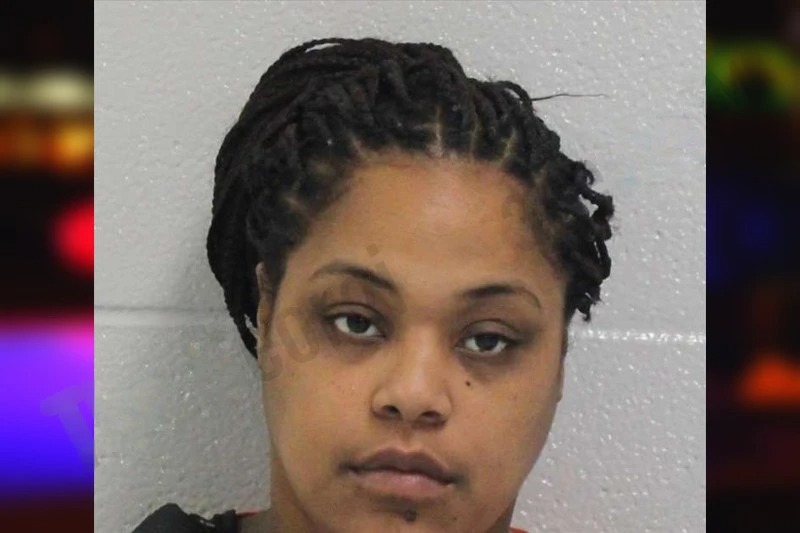 Denise Hollensworth Mugshots