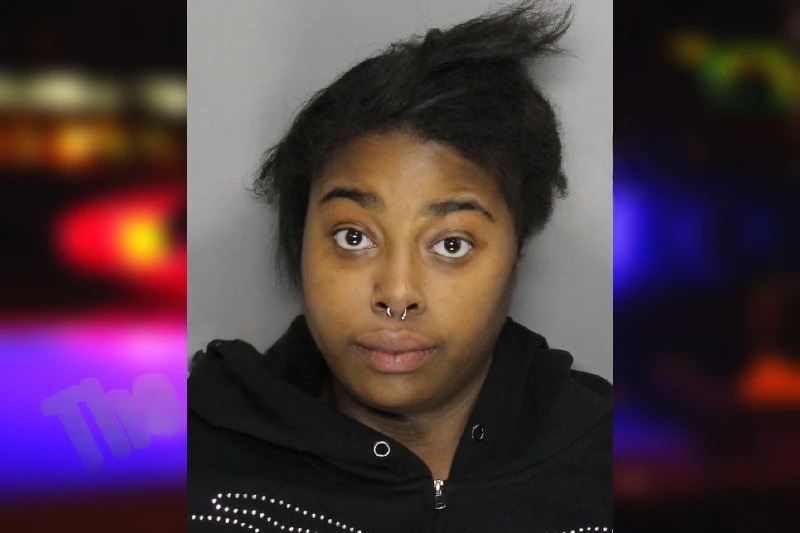 Dera McBride mugshot