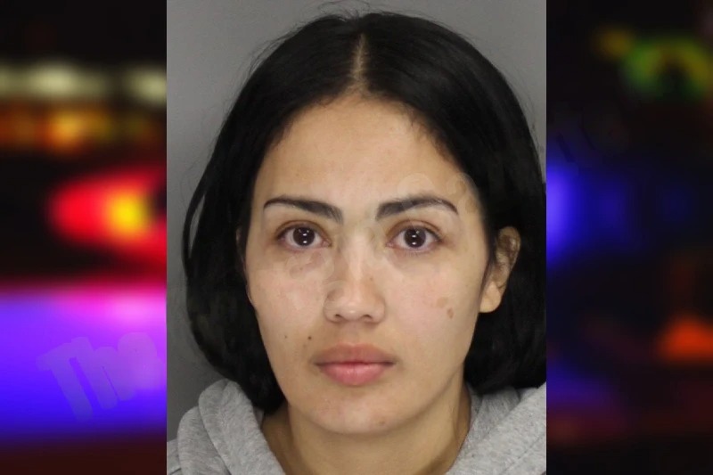 Desiree Hollenberger mugshot