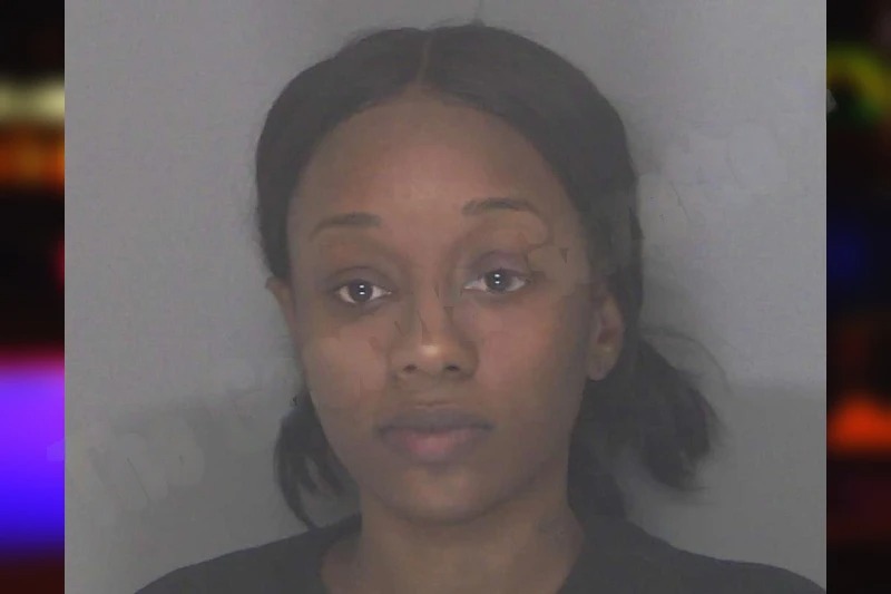 Destiny Holmes mugshot