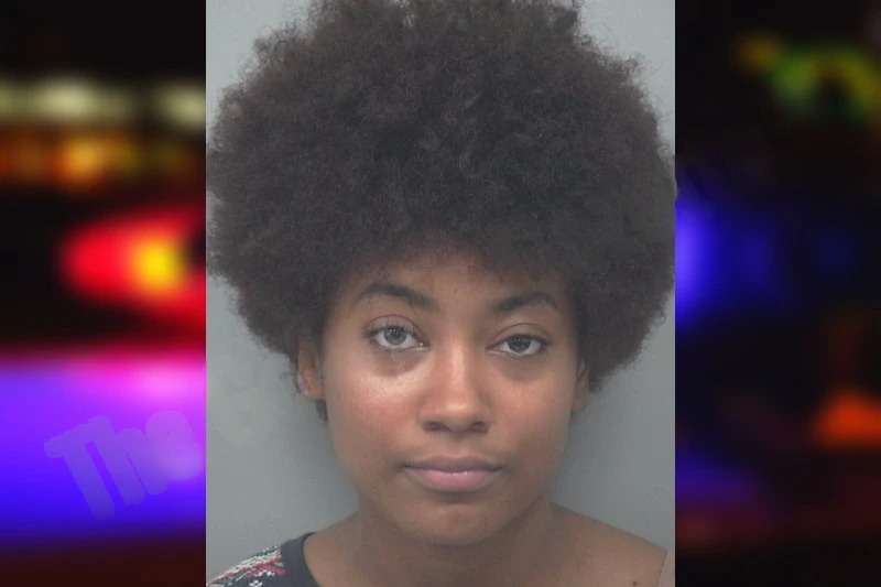 Destyni Teixeira Johnson mugshot