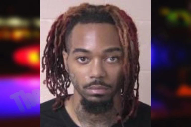 Dhantori Council mugshot – Chatham County , Georgia Dhantori Council