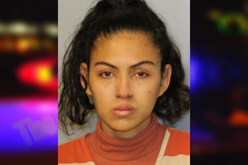 Diana Romo Aguilar Mugshots