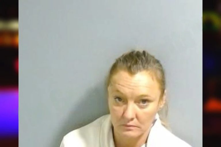 Diane Anastasia mugshot – Fulton County , Georgia Diane Anastasia