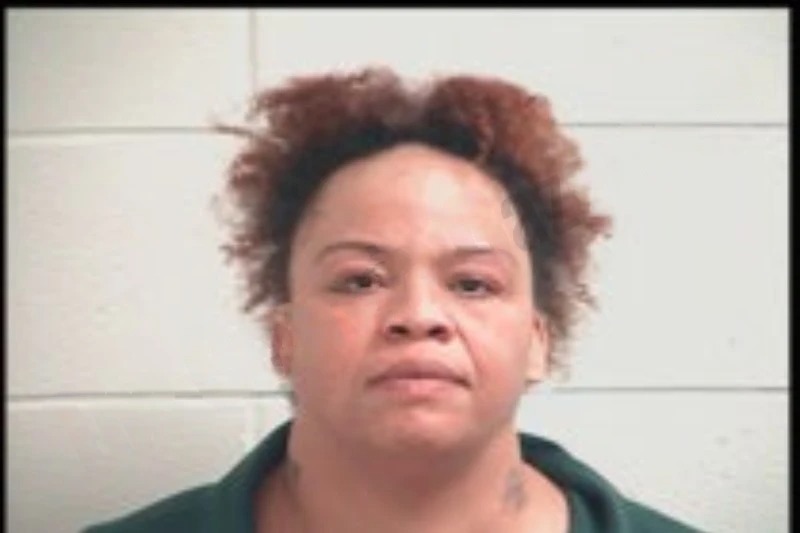 Dianna Curry mugshot