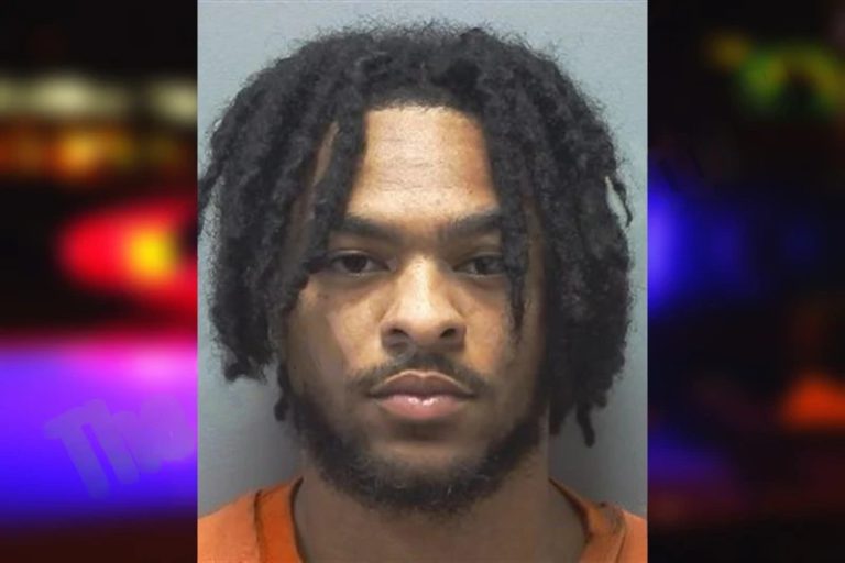 Dillan Larvadain mugshot – Cherokee County , Georgia Dillan Larvadain