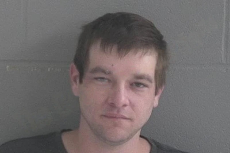 Dillon Hardwick mugshot