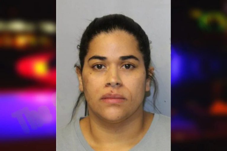 Diosangel Urriola Campos mugshot – Rockdale County , Georgia Diosangel Urriola Campos