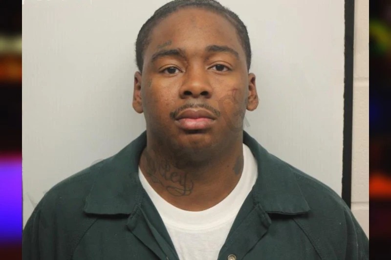 Divine Robinson Mugshots