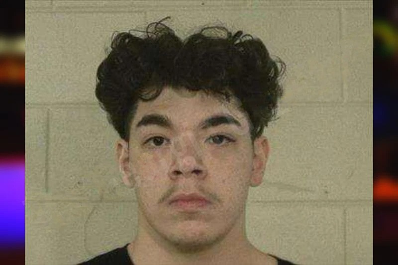 Dominic Williams mugshot – Liberty County , Georgia Dominic Williams mugshot