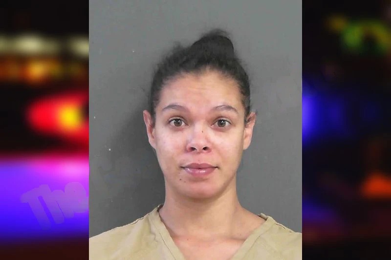 Dominique James Mugshots