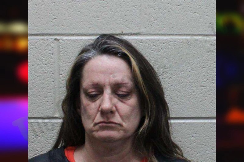 Donna Waits mugshot – Haralson County , Georgia Donna Waits mugshot