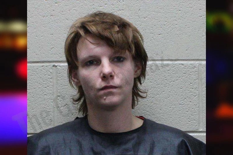 Dorothy Cates mugshot – Haralson County , Georgia Dorothy Cates mugshot