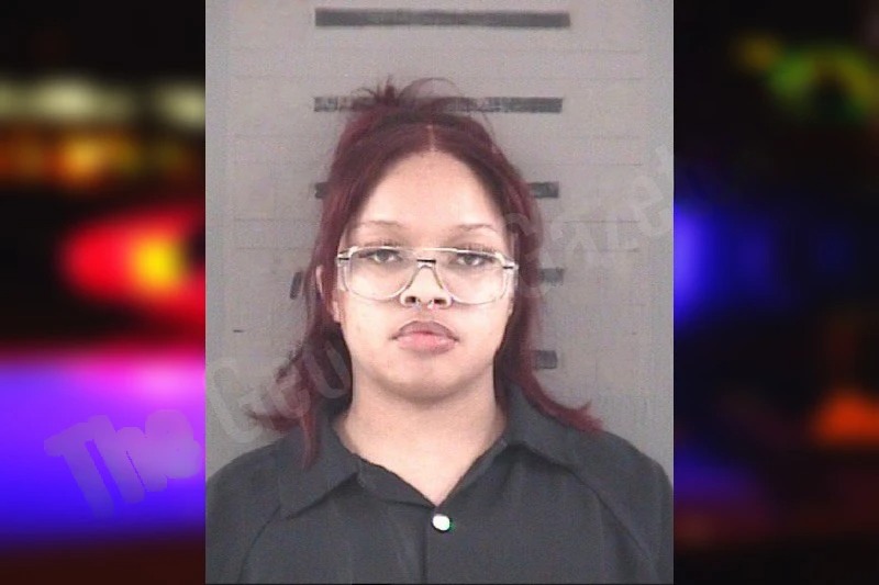 Dyani Willis Mugshots