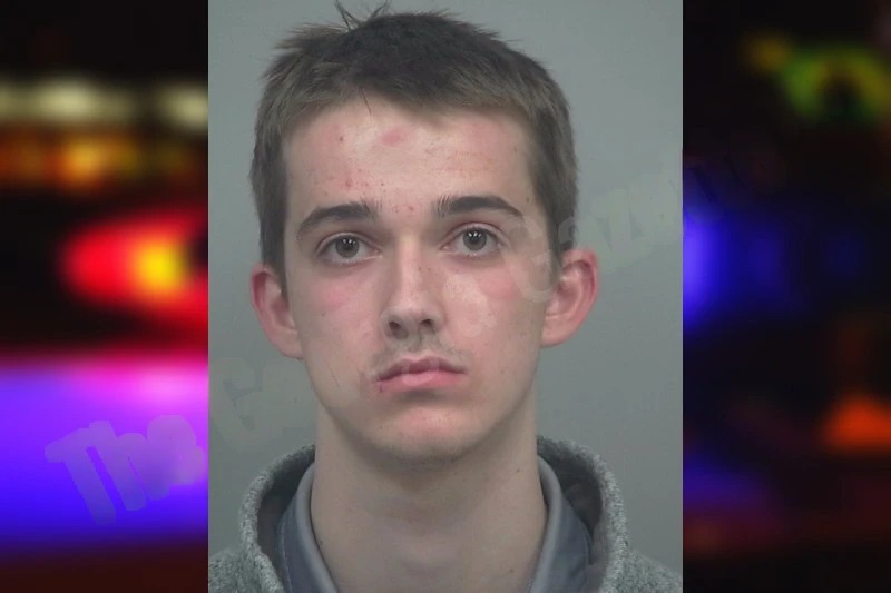 Dylan Di Cicco Mugshots