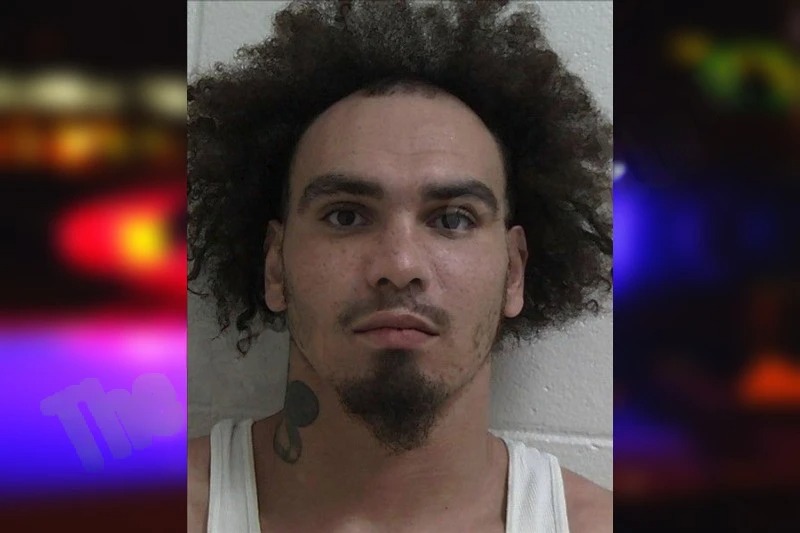 Dylan James Mugshots