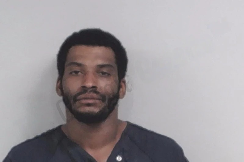 Dylan Mitchell Mugshots