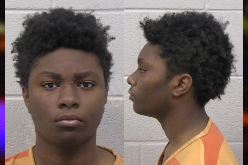 Dylan Williams mugshot β Paulding County , Georgia Dylan Williams mugshot