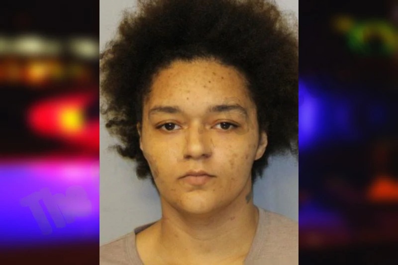 Ebony Landers Mugshots