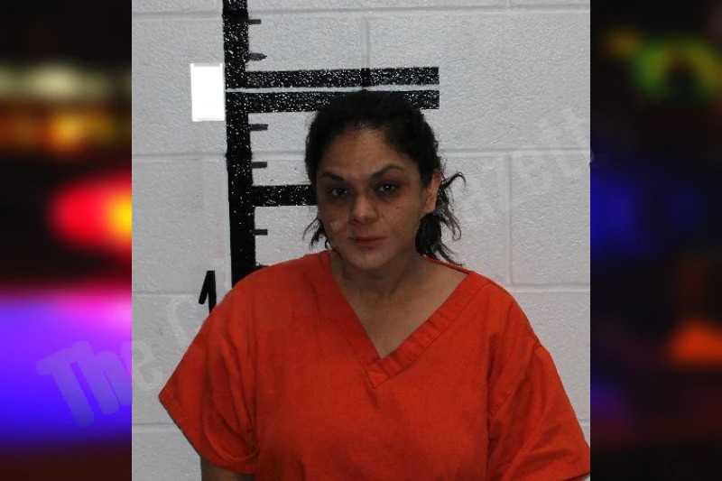 Edith Guerra Mugshots