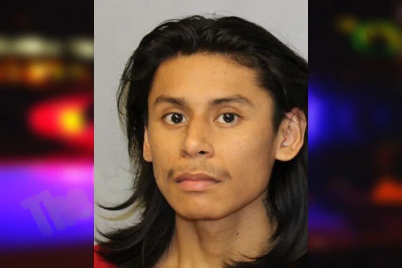 Edwin Domingo mugshot