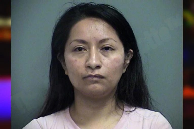 Edy Zambrano Camayo mugshot – Effingham County , Georgia Edy Zambrano Camayo