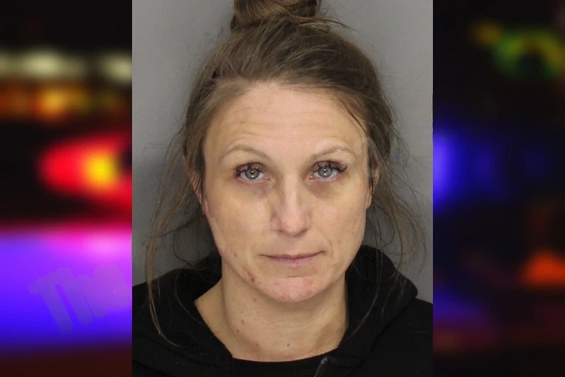 Effie Hinton mugshot