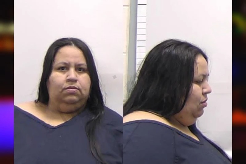 Elba Martinez Mugshots
