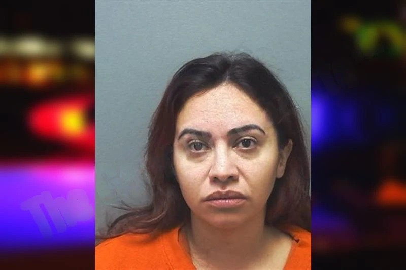 Elizabeth Bahena Mugshots