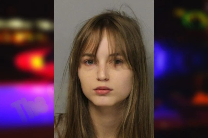 Elizabeth Barton mugshot – Hall County , Georgia Elizabeth Barton mugshot