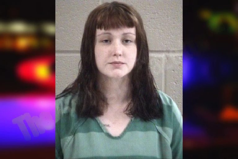 Elizabeth Greenlee mugshot – Whitfield County , Georgia Elizabeth Greenlee