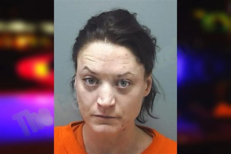 Elizabeth Herber mugshot – Cherokee County , Georgia Elizabeth Herber