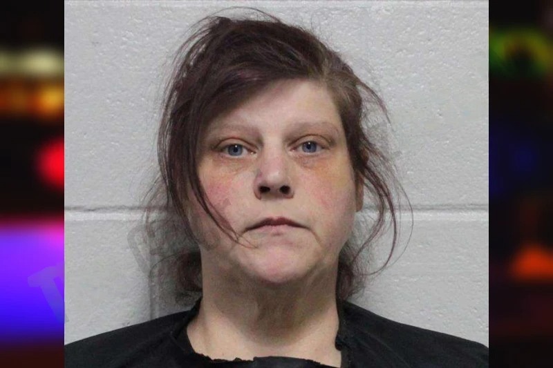 Elizabeth Hill Mugshots