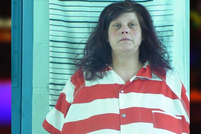 Elizabeth Hill Mugshots