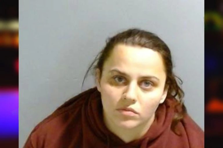 Elizabeth Jones mugshot – Fulton County , Georgia Elizabeth Jones