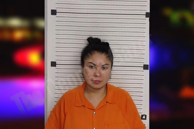 Elizabeth Lopez Mugshots