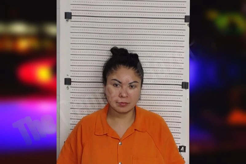 Elizabeth Lopez Mugshots