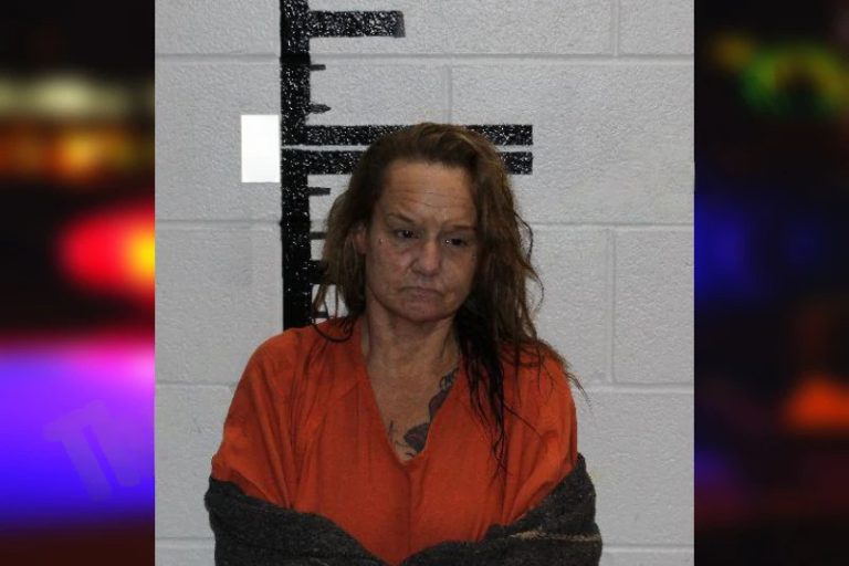 Elizabeth Miller mugshot – Murray County , Georgia Elizabeth Miller