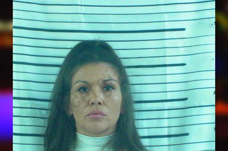 Elizabeth Robinson mugshot – Stephens County , Georgia Elizabeth Robinson mugshot