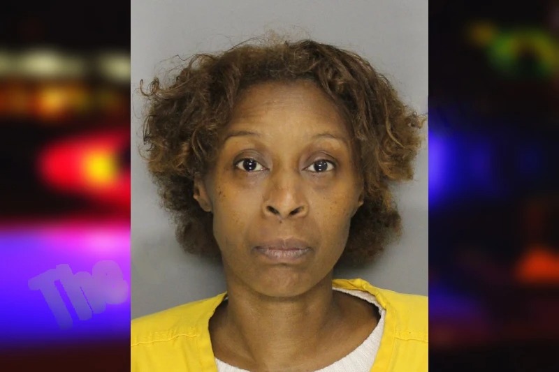 Ellavette Jackson mugshot – Cobb County , Georgia Ellavette Jackson mugshot