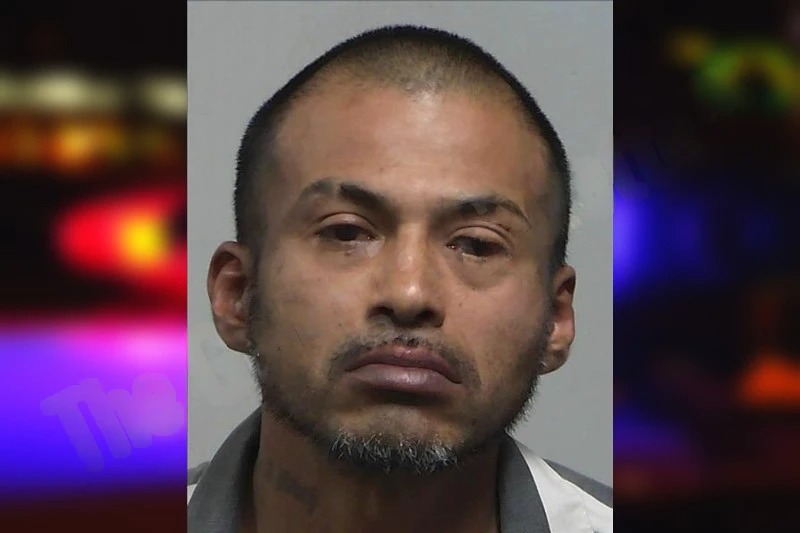 Elroy Quintero Mugshots