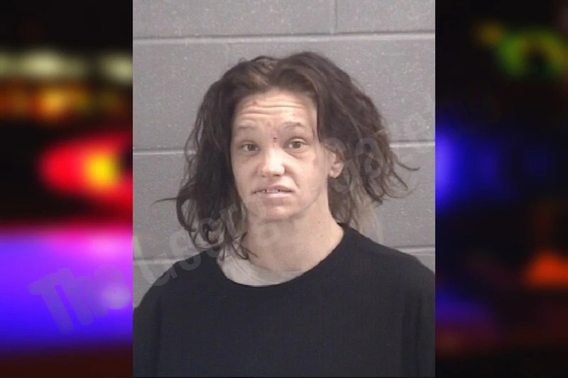 Elysia Johnston mugshot